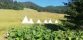 /album/salatin/img-20230714-wa0016-jpg/