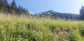 /album/salatin/img-20230714-wa0017-jpg/